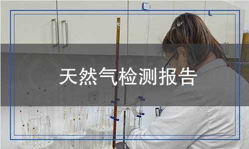 天然氣檢測報告 